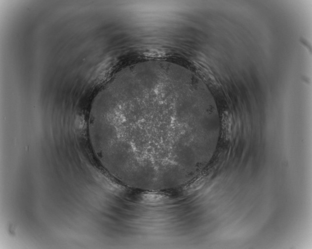 X0000091200614200708161615