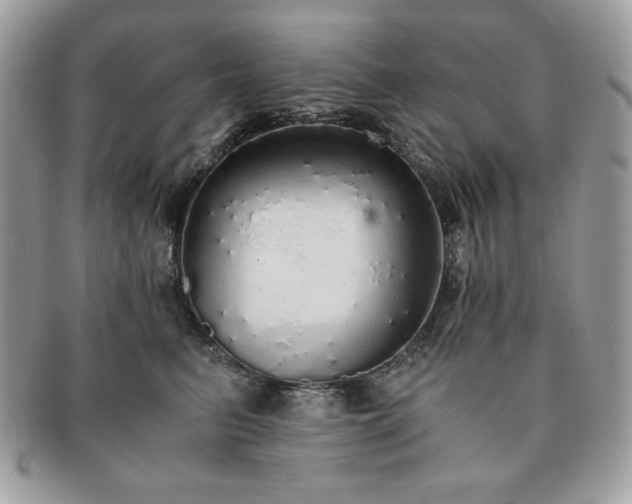 X0000091200615200708161615