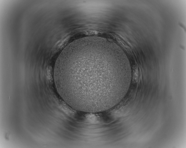 X0000091200616200708161615