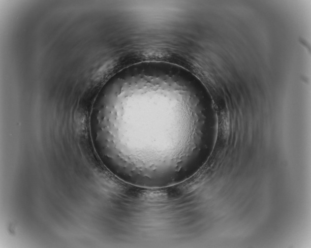 X0000091200619200708161615