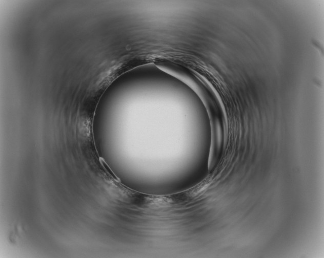 X0000091200621200708161615