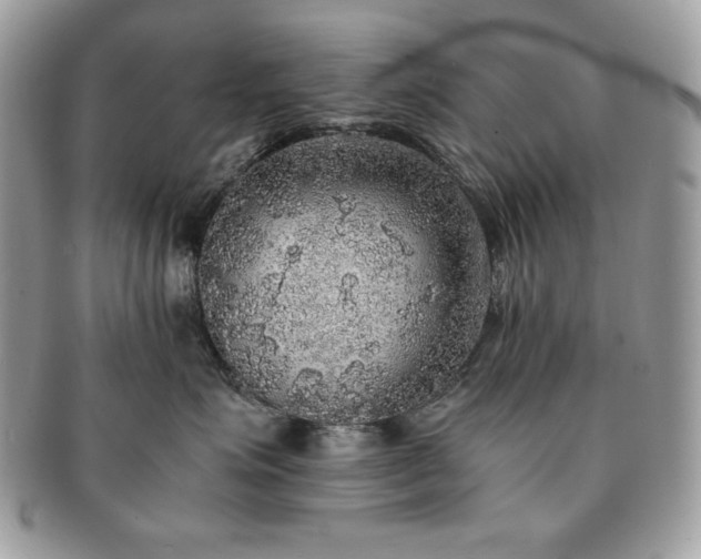 X0000091200623200708161615