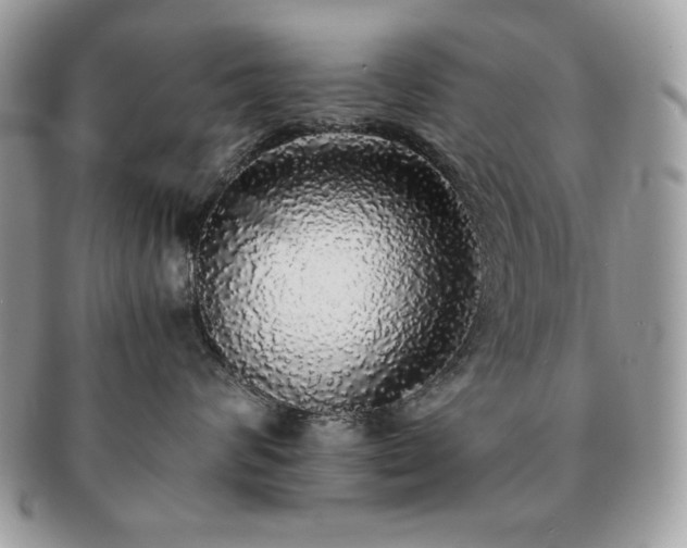 X0000091200624200708161615