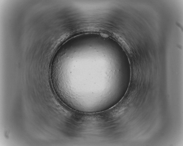 X0000091200625200708161615