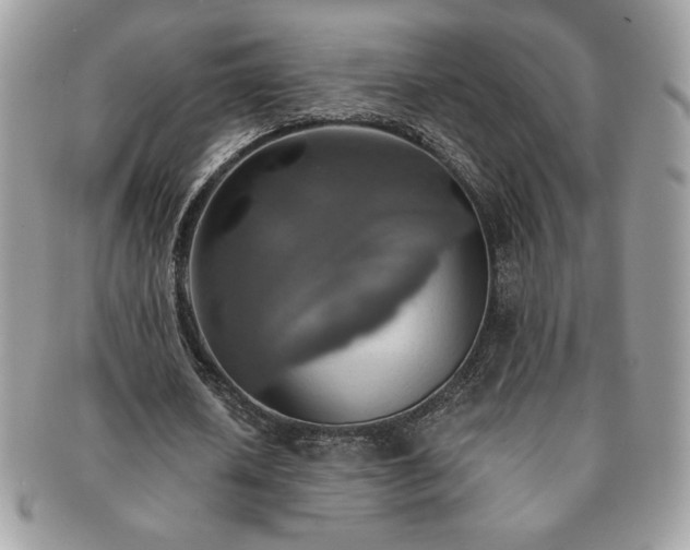 X0000091200626200708161615