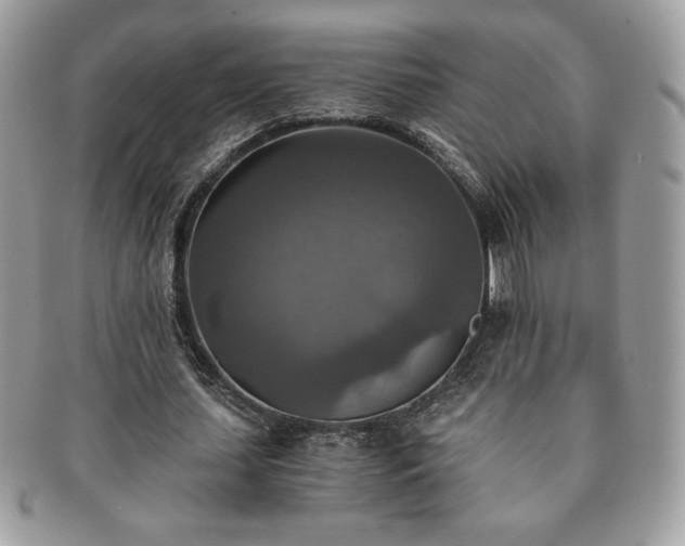 X0000091200627200708161615