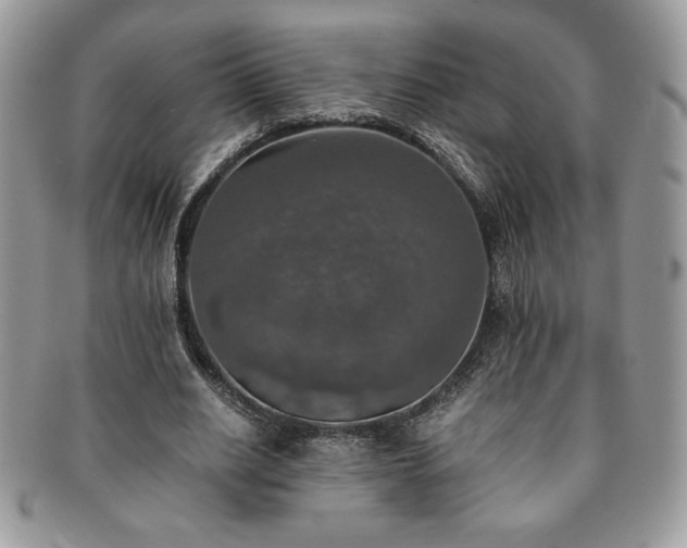 X0000091200630200708161615