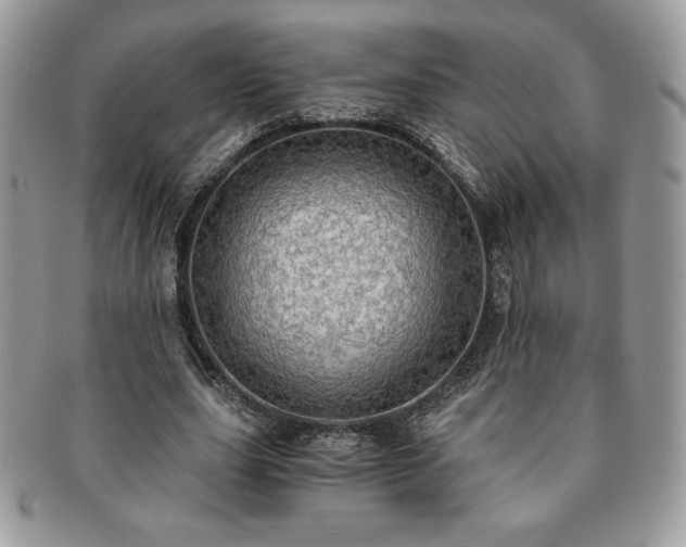 X0000091200631200708161615