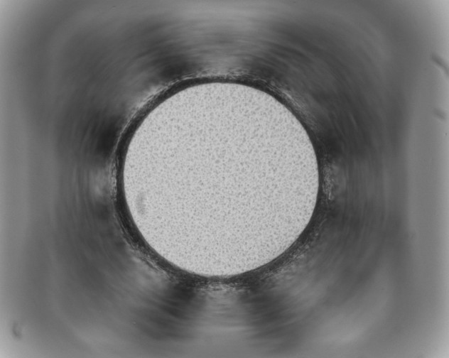X0000091200632200708161615