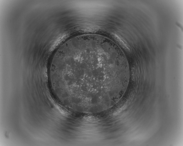 X0000091200634200708161615