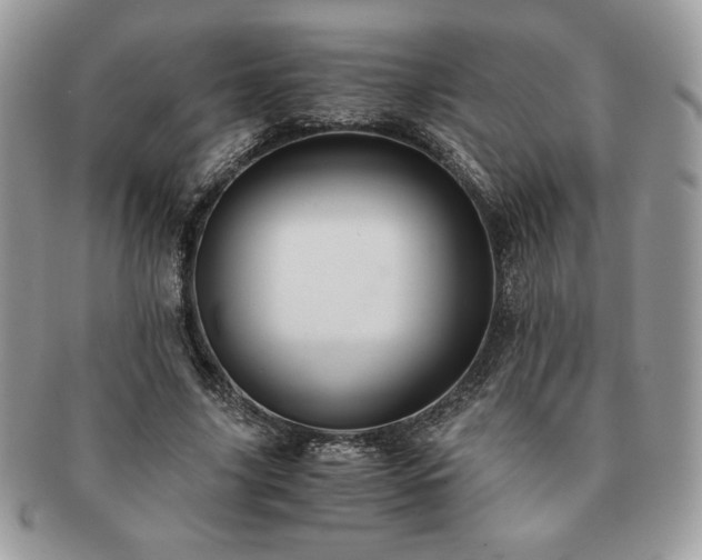 X0000091200635200708161615