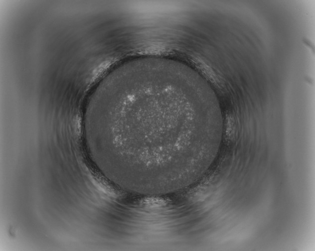 X0000091200636200708161615