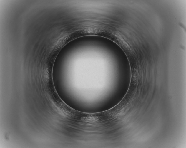 X0000091200639200708161615