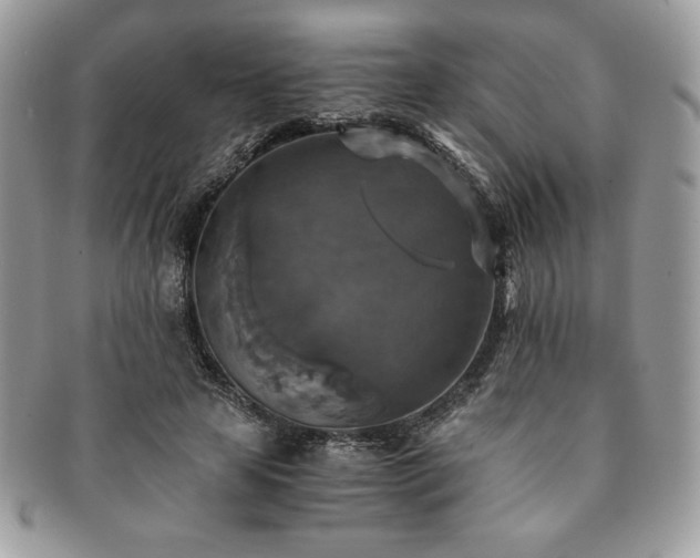 X0000091200641200708161615