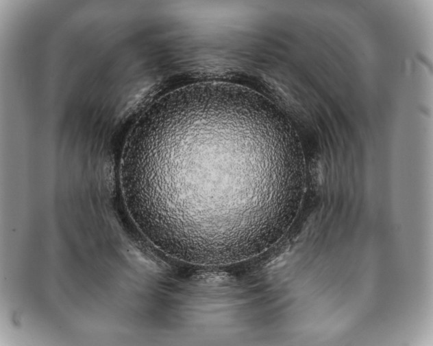 X0000091200642200708161615