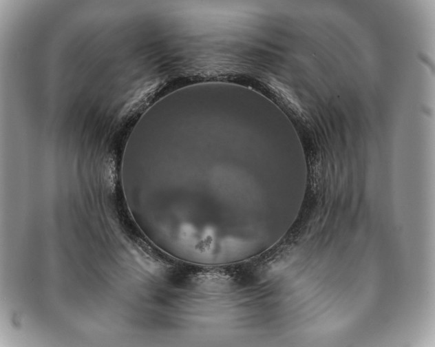 X0000091200644200708161615