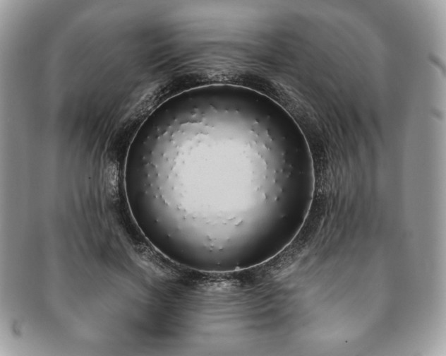 X0000091200646200708161615
