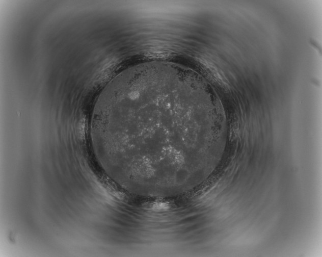 X0000091200647200708161615