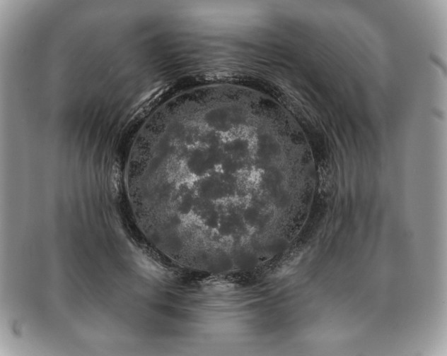 X0000091200648200708161615
