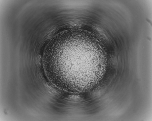 X0000091200649200708161615