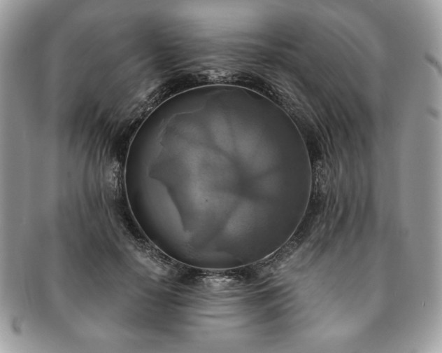 X0000091200650200708161615
