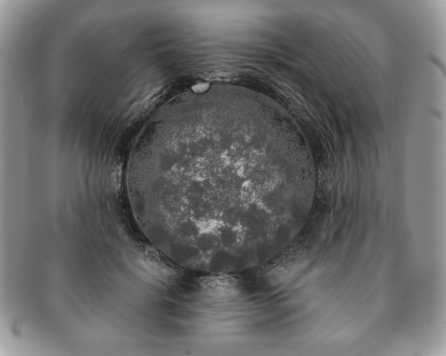 X0000091200652200708161615