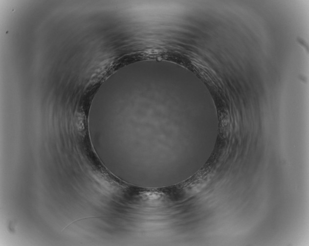 X0000091200654200708161615
