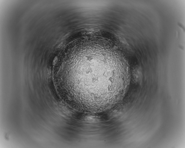 X0000091200657200708161615