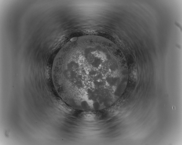 X0000091200658200708161615