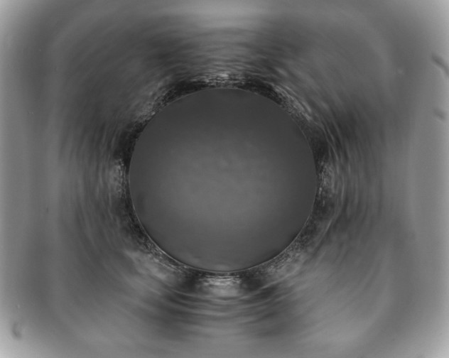 X0000091200659200708161615