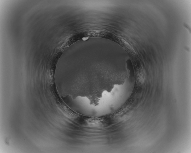 X0000091200661200708161615