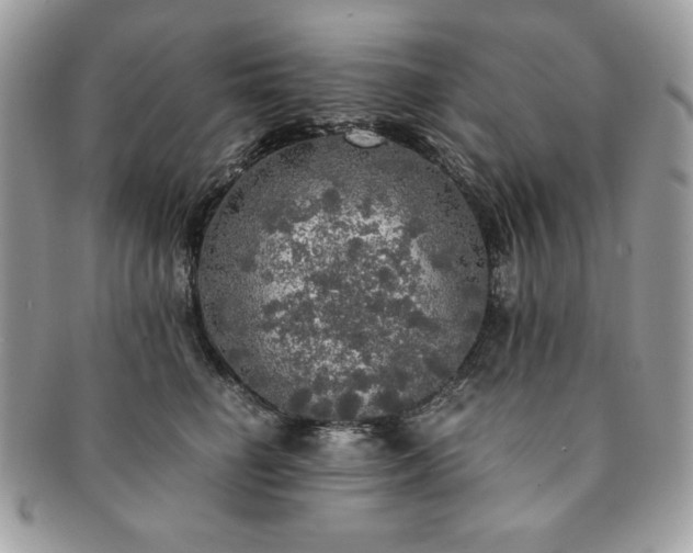 X0000091200662200708161615