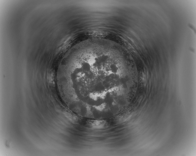 X0000091200663200708161615