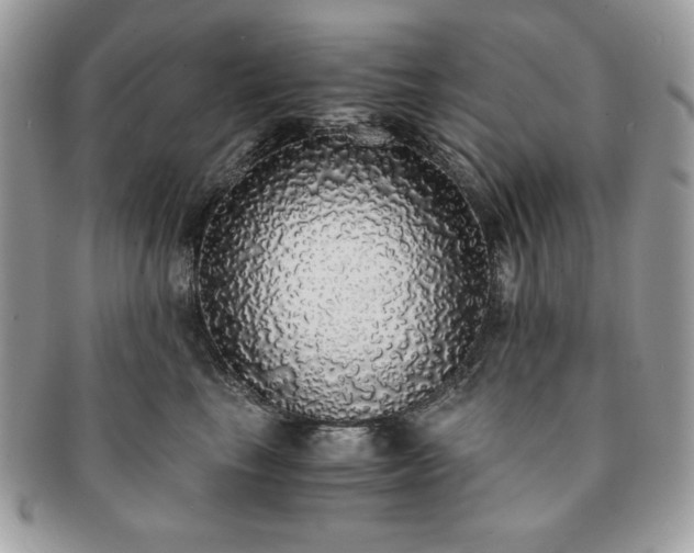 X0000091200665200708161615