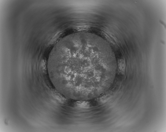 X0000091200667200708161615