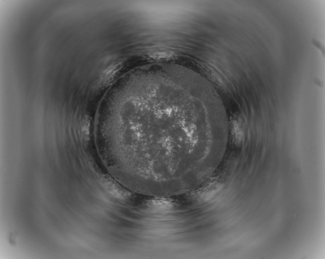 X0000091200668200708161615