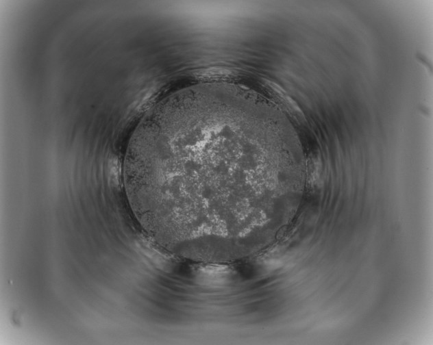 X0000091200669200708161615