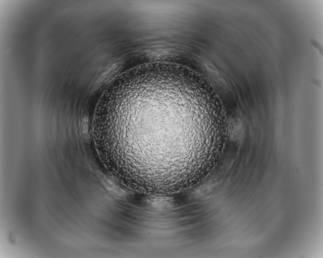 X0000091200670200708161615