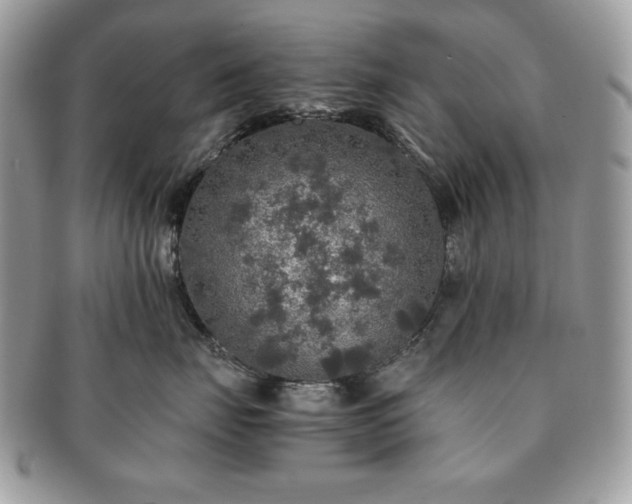 X0000091200671200708161615