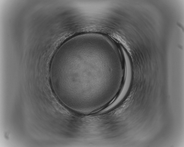 X0000091200673200708161615