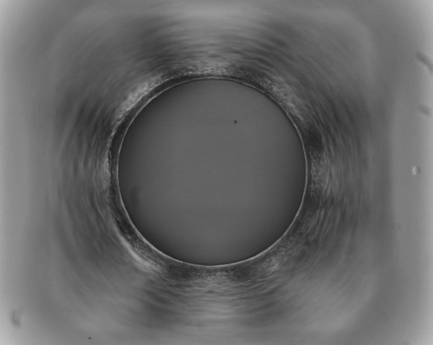 X0000091200674200708161615