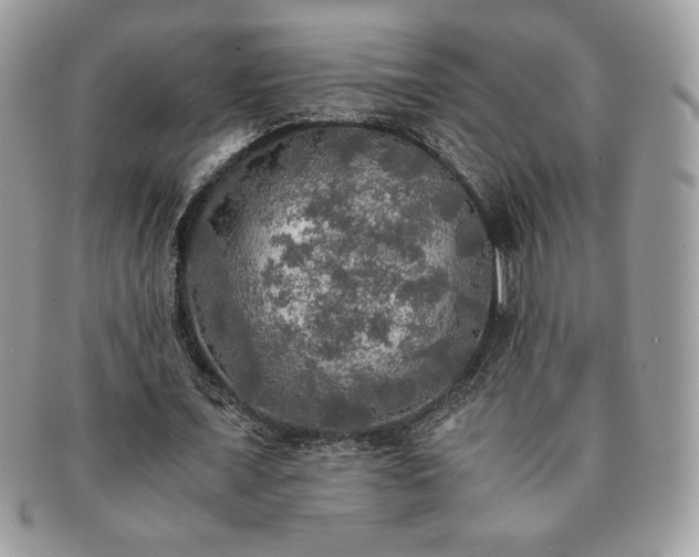 X0000091200675200708161615