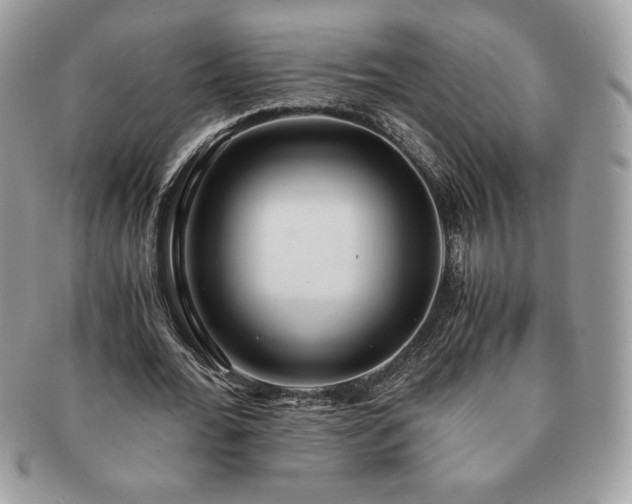 X0000091200676200708161615