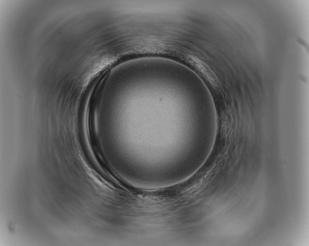 X0000091200677200708161615