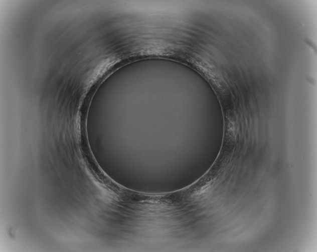 X0000091200678200708161615