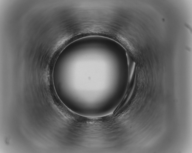 X0000091200680200708161614