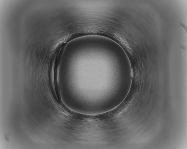 X0000091200681200708161614
