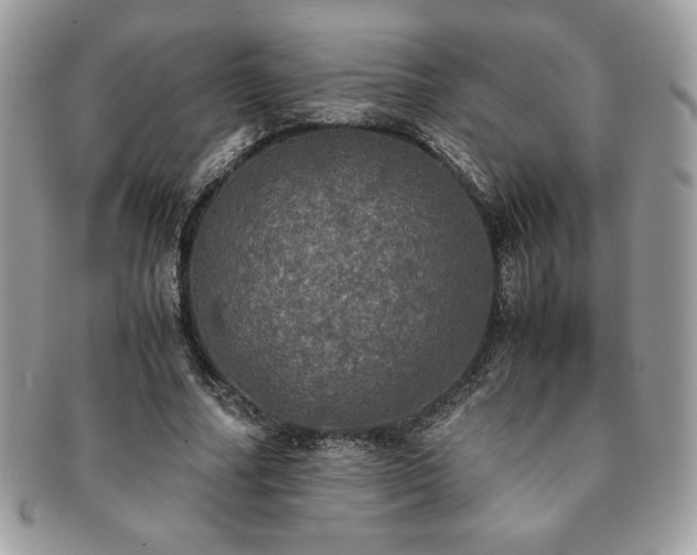 X0000091200682200708161614