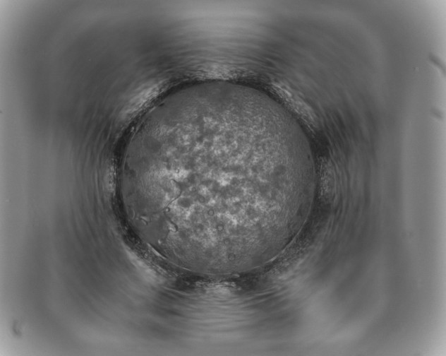 X0000091200683200708161614