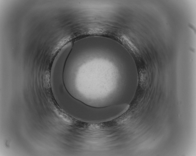 X0000091200684200708161614